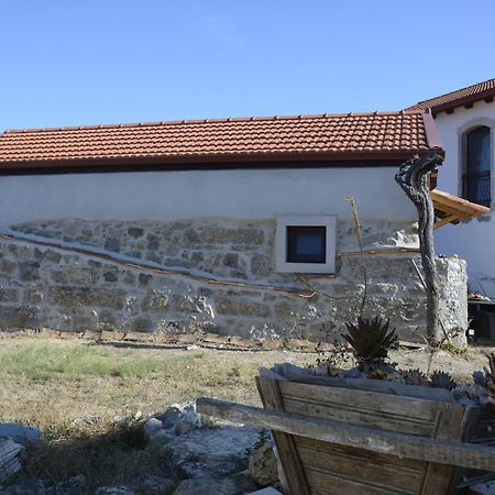 Casa Da Lima - Nestled In Nature On Santiago'S And Fatima'S Path, Close To Coimbra And Rabacal Alvorge Kültér fotó