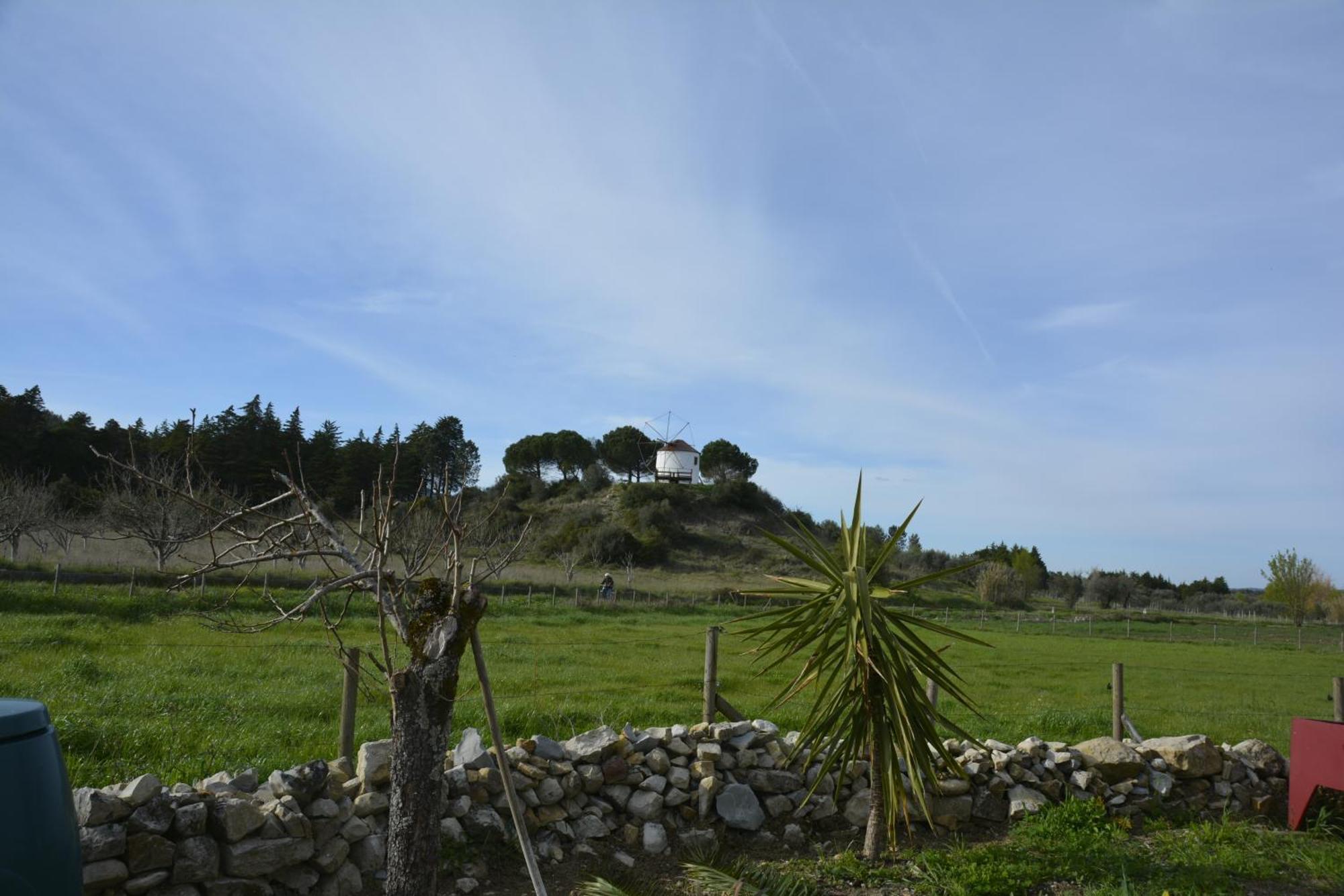 Casa Da Lima - Nestled In Nature On Santiago'S And Fatima'S Path, Close To Coimbra And Rabacal Alvorge Kültér fotó