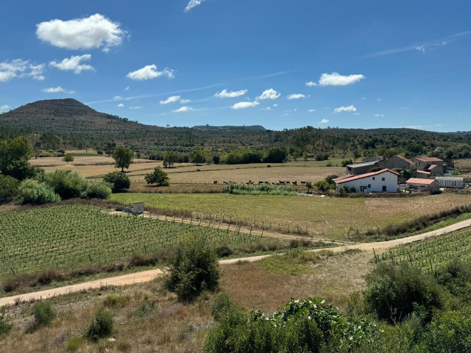 Casa Da Lima - Nestled In Nature On Santiago'S And Fatima'S Path, Close To Coimbra And Rabacal Alvorge Kültér fotó