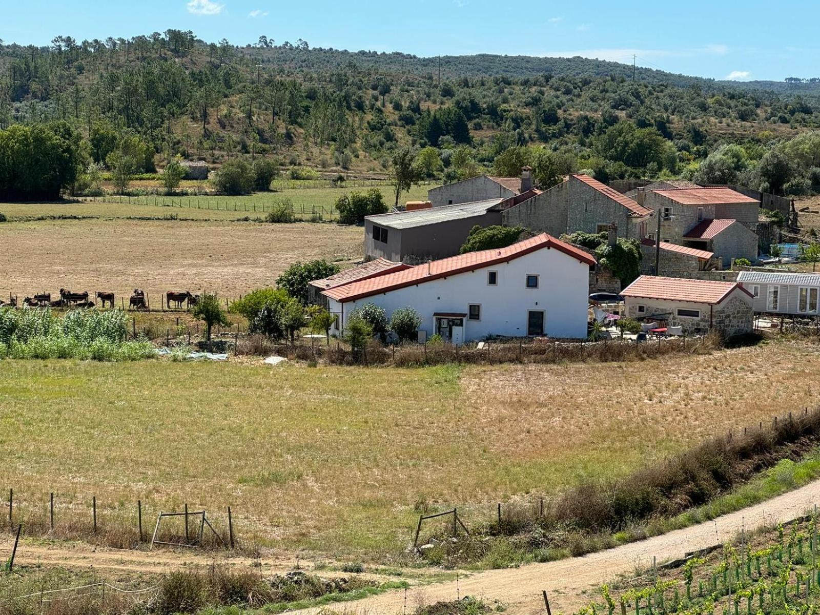 Casa Da Lima - Nestled In Nature On Santiago'S And Fatima'S Path, Close To Coimbra And Rabacal Alvorge Kültér fotó