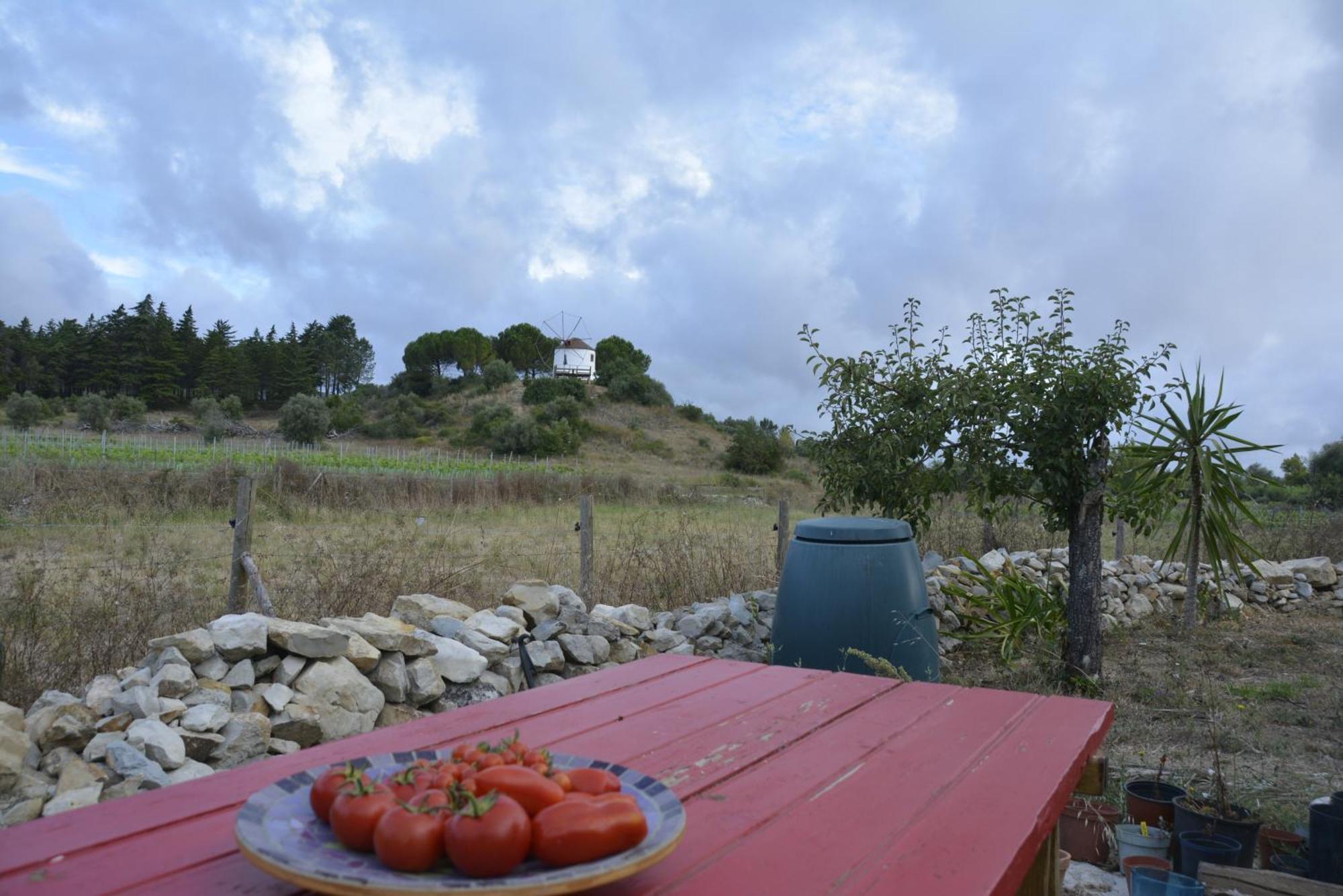 Casa Da Lima - Nestled In Nature On Santiago'S And Fatima'S Path, Close To Coimbra And Rabacal Alvorge Kültér fotó