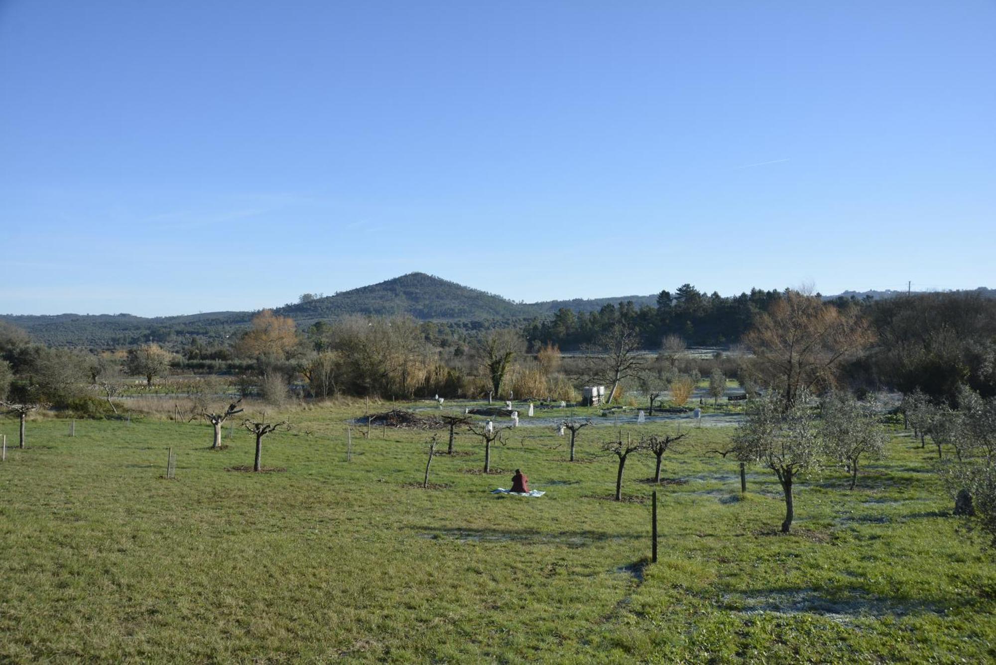 Casa Da Lima - Nestled In Nature On Santiago'S And Fatima'S Path, Close To Coimbra And Rabacal Alvorge Kültér fotó